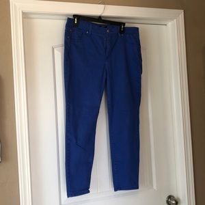 Royal blue Curve Appeal Minimalist Jeggings